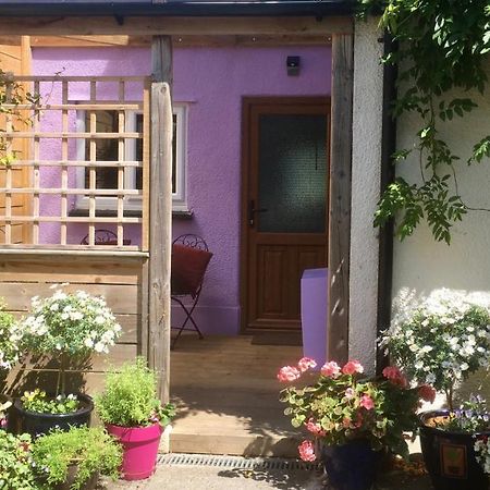 Cute Self-Contained Guest Room With Ensuite And Private Decked Porch In Glastonbury Ngoại thất bức ảnh